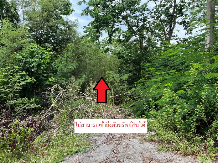 Residential land/lot Pathum Thani Nong Suea Bueng Ba 823000