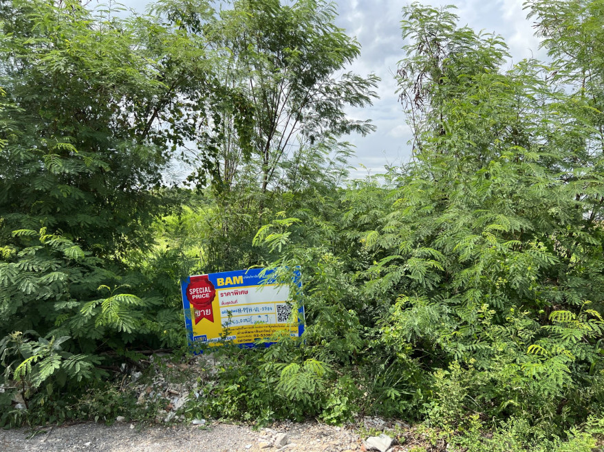 ที่ดินเปล่า นฤมล วิลล่า 1 ปทุมธานี หนองเสือ บึงบา 284000