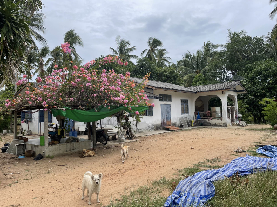 Single house Prachuap Khiri Khan Bang Saphan Thong Chai 24112000