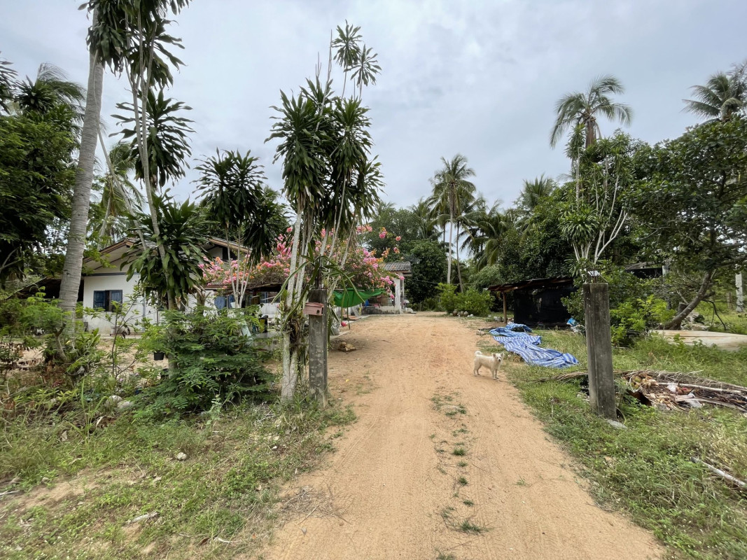 Single house Prachuap Khiri Khan Bang Saphan Thong Chai 24112000