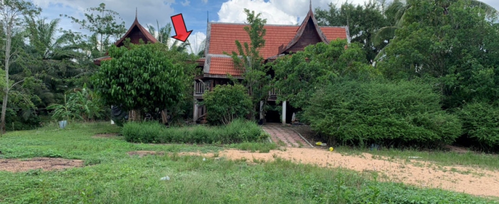 บ้านเดี่ยว นครศรีธรรมราช เชียรใหญ่ การะเกด 1925000