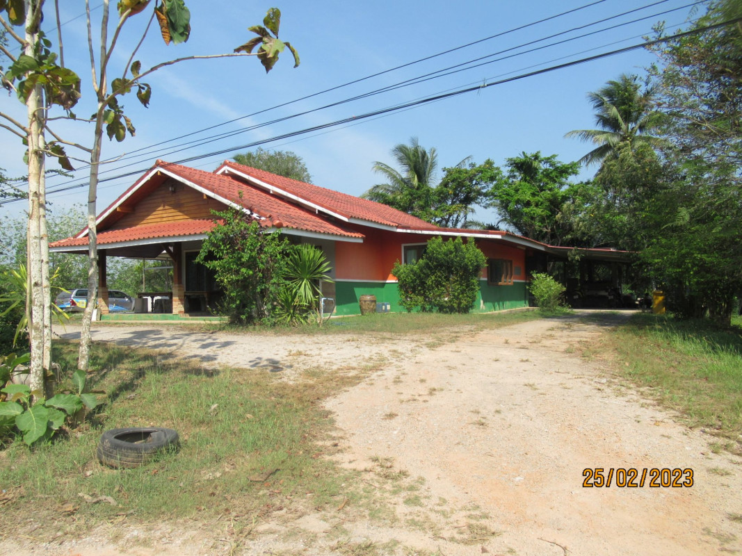 บ้านเดี่ยว สุราษฎร์ธานี พุนพิน หัวเตย 3489000