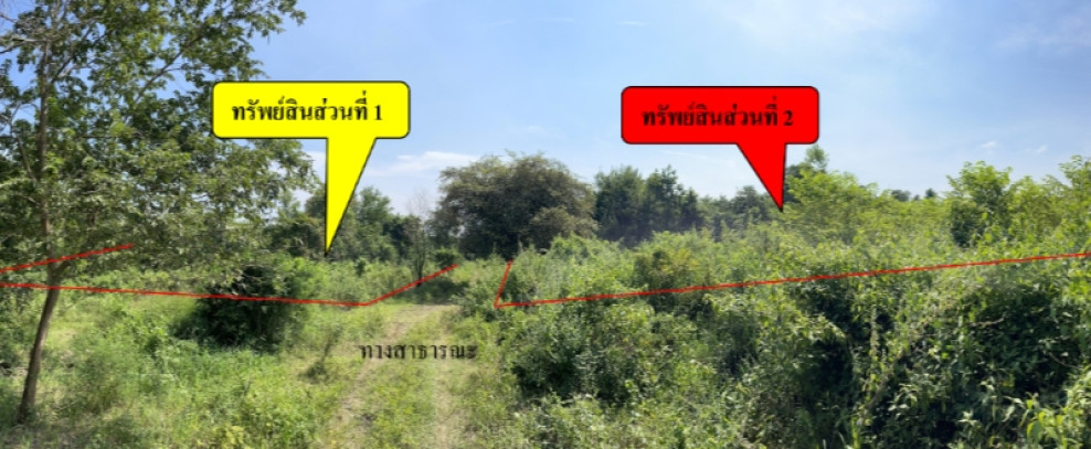 Residential land/lot Prachuap Khiri Khan Sam Roi Yot Rai Kao 42000