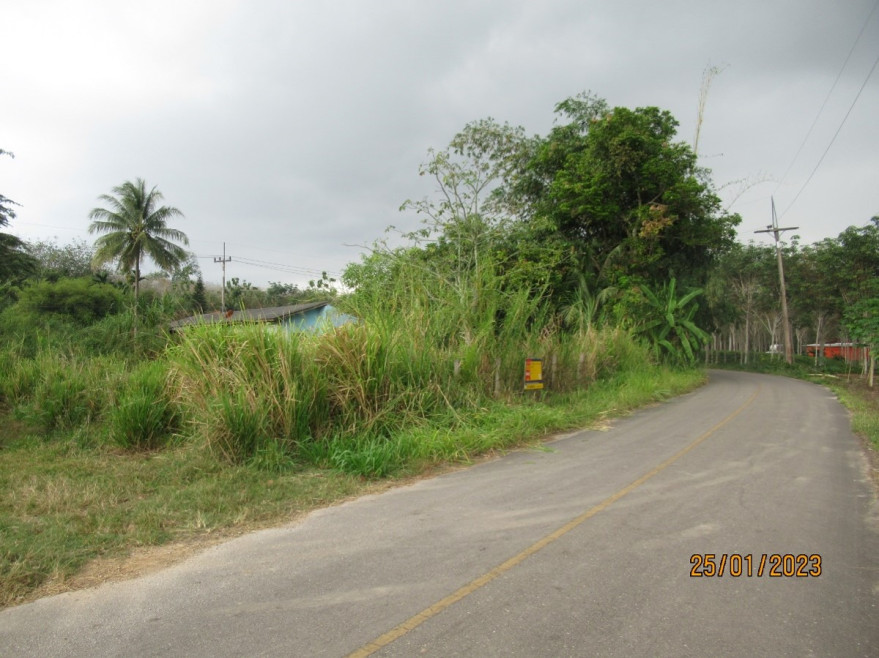 Residential land/lot Surat Thani Phunphin Bang Maduea 193000