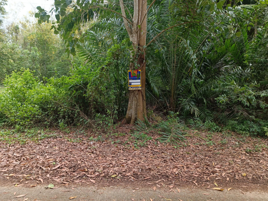 Residential land/lot Chumphon Mueang Chumphon Wang Phai 1776000