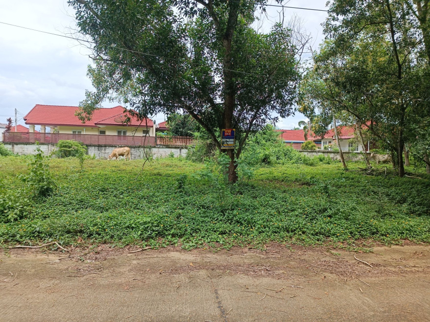Residential land/lot Chumphon Mueang Chumphon Wang Phai 2030000