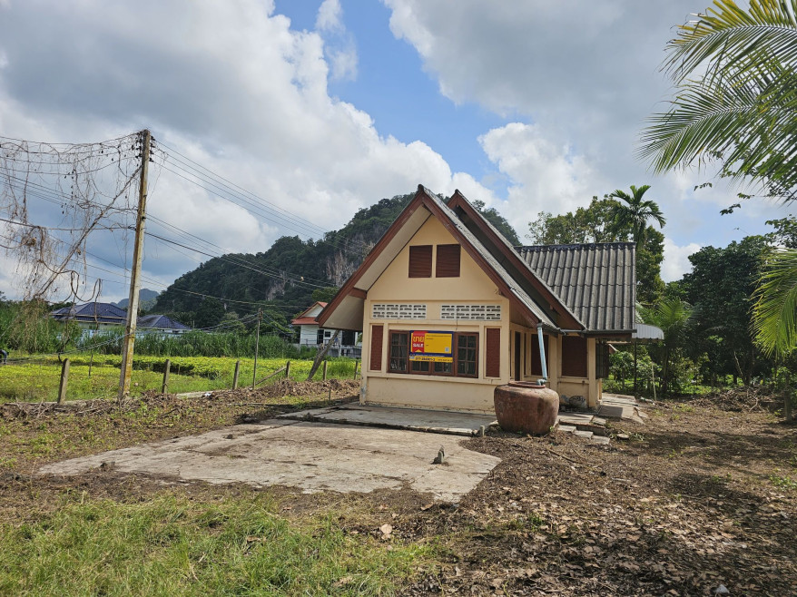 บ้านเดี่ยว สุราษฎร์ธานี บ้านนาสาร นาสาร 1938000