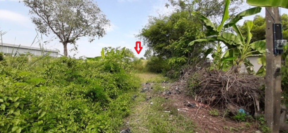 Residential land/lot Pathum Thani Thanyaburi Rangsit 2730000