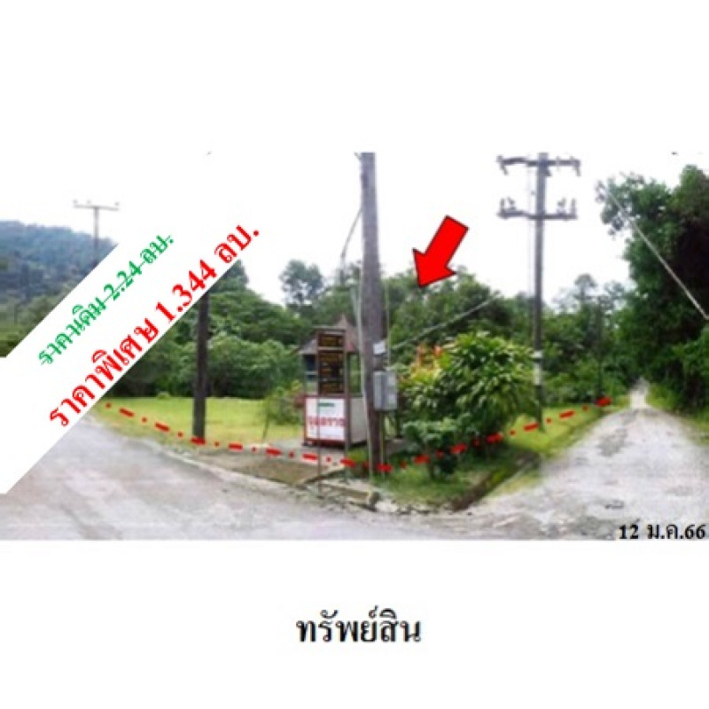 ที่ดินเปล่า กระทิง คันทรี รีสอร์ท จันทบุรี เขาคิชฌกูฏ พลวง 1344000