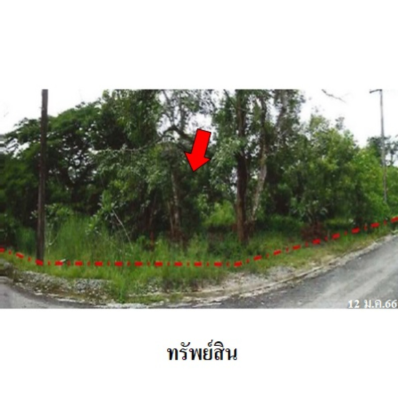 ที่ดินเปล่า กระทิง คันทรี รีสอร์ท จันทบุรี เขาคิชฌกูฏ พลวง 1344000