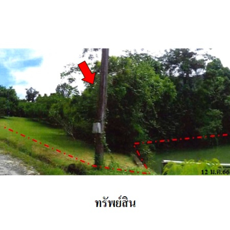 ที่ดินเปล่า กระทิง คันทรี รีสอร์ท จันทบุรี เขาคิชฌกูฏ พลวง 1344000