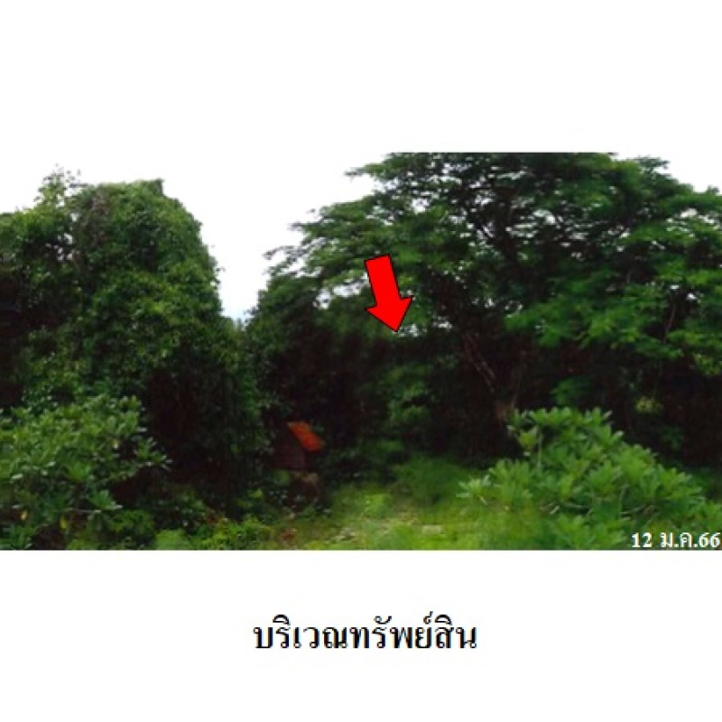 ที่ดินเปล่า กระทิง คันทรี รีสอร์ท จันทบุรี เขาคิชฌกูฏ พลวง 1764000