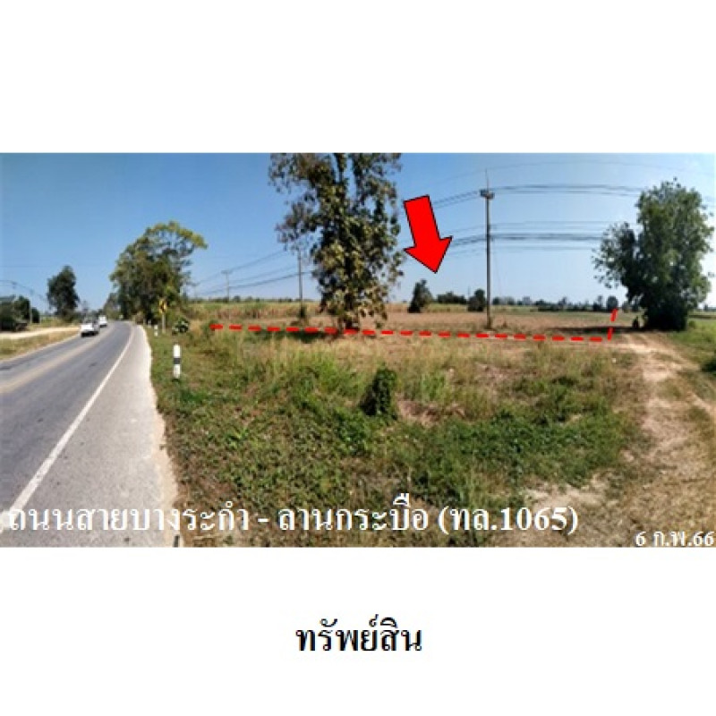 ที่ดินเปล่า พิษณุโลก บางระกำ บึงกอก 7870000