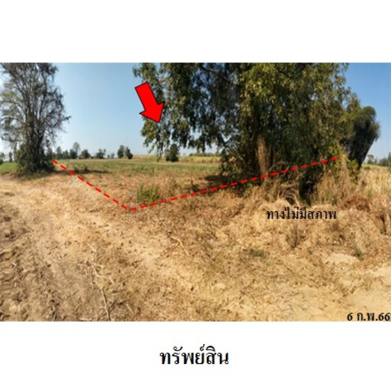 ที่ดินเปล่า พิษณุโลก บางระกำ บึงกอก 7870000