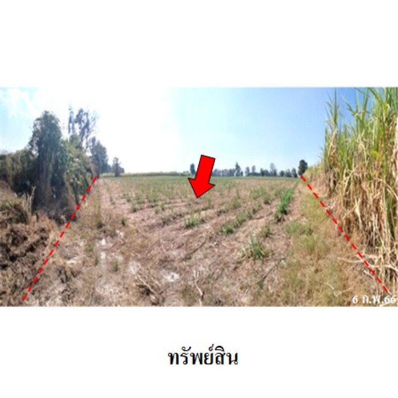 ที่ดินเปล่า พิษณุโลก บางระกำ บึงกอก 7870000