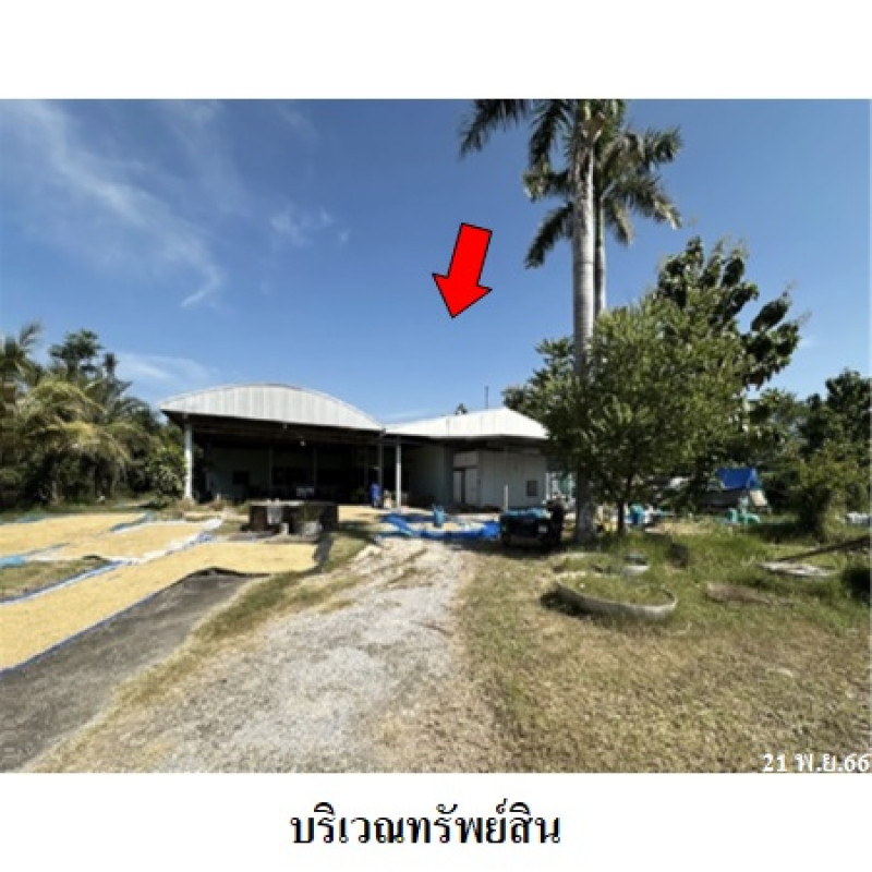 โรงงาน/โกดัง ขอนแก่น บ้านไผ่ บ้านไผ่ 10780000