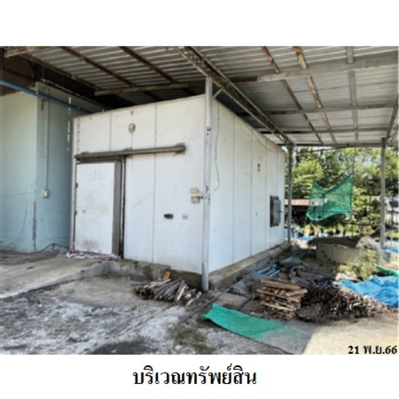 โรงงาน/โกดัง ขอนแก่น บ้านไผ่ บ้านไผ่ 10780000