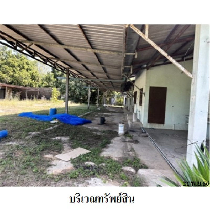 โรงงาน/โกดัง ขอนแก่น บ้านไผ่ บ้านไผ่ 10780000