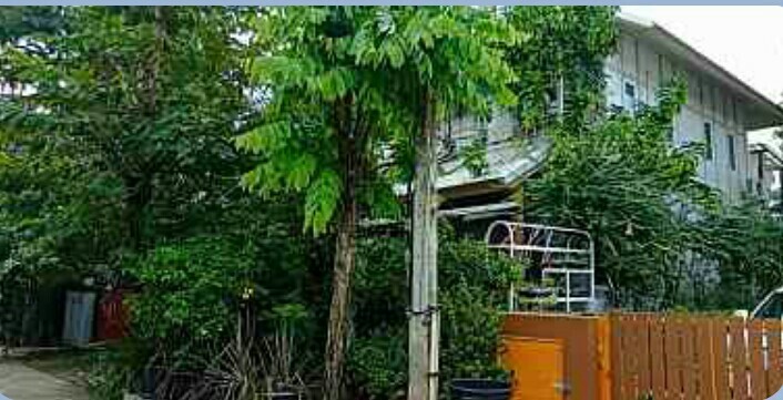บ้านเดี่ยว ปทุมธานี ธัญบุรี ประชาธิปัตย์ 4500000