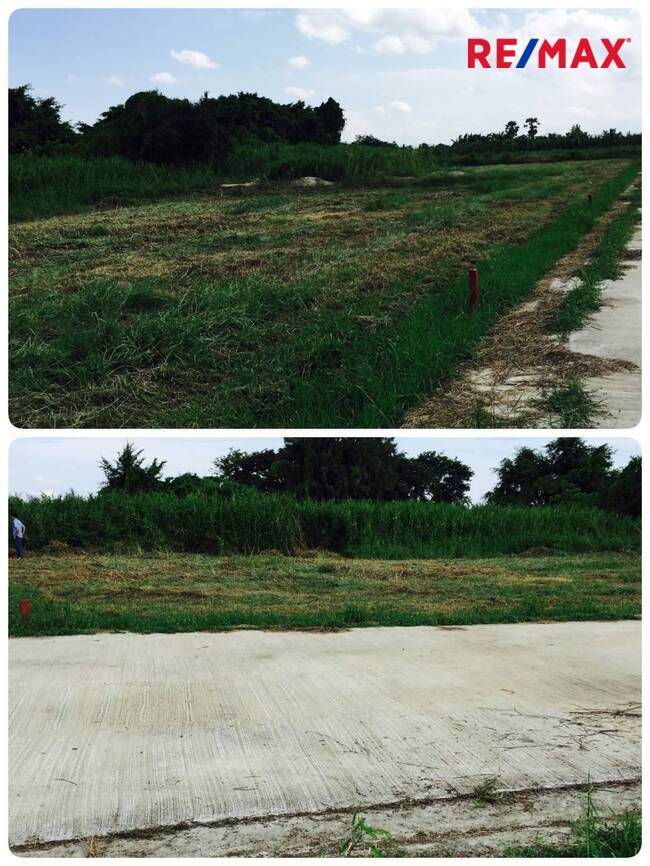 Residential land/lot Nakhon Pathom Mueang Nakhon Pathom Nakhon Pathom 816000