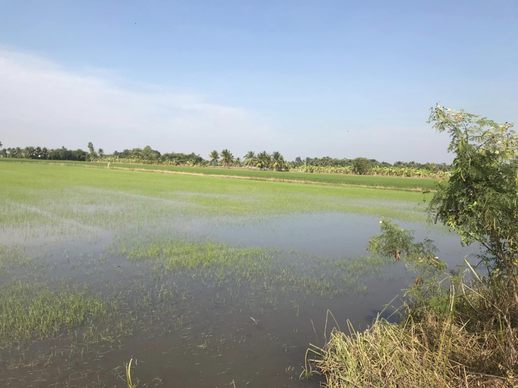 ที่ดินเปล่า กรุงเทพมหานคร คลองสามวา สามวาตะวันออก 37500000