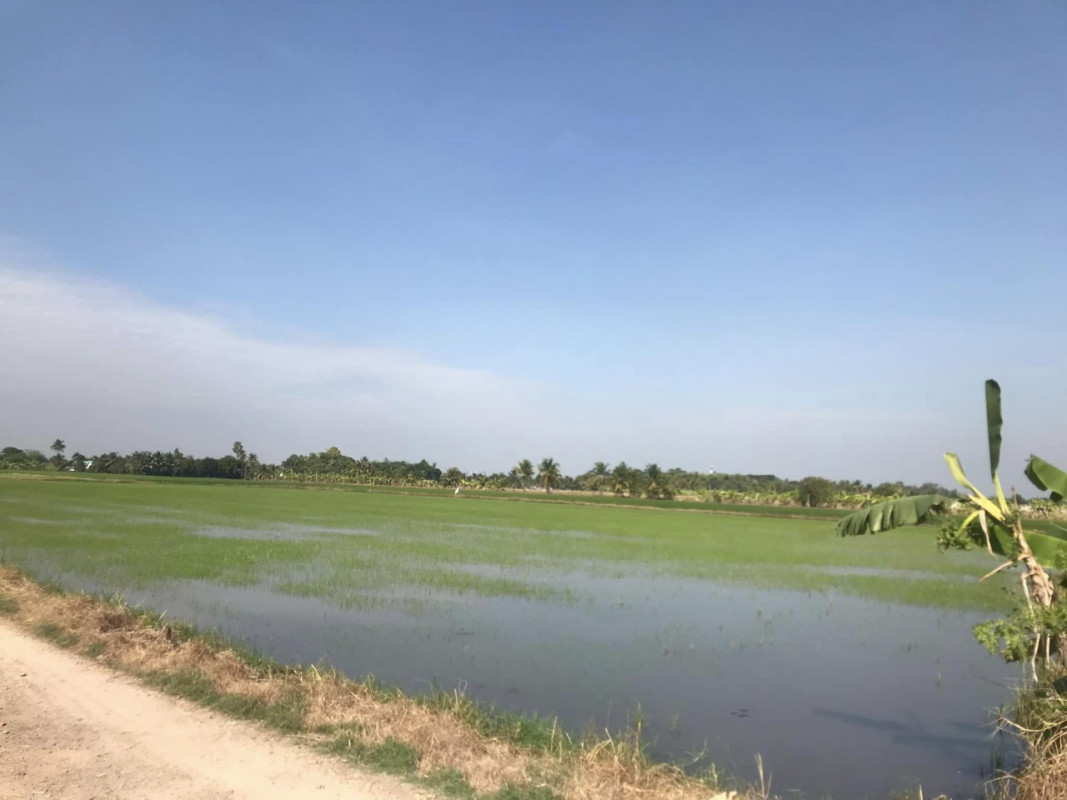 ที่ดินเปล่า กรุงเทพมหานคร คลองสามวา สามวาตะวันออก 37500000