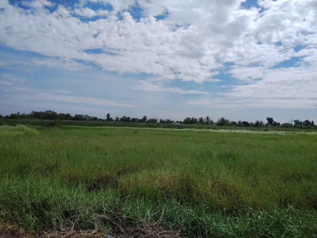 ที่ดินเปล่า กรุงเทพมหานคร หนองจอก หนองจอก 2925000