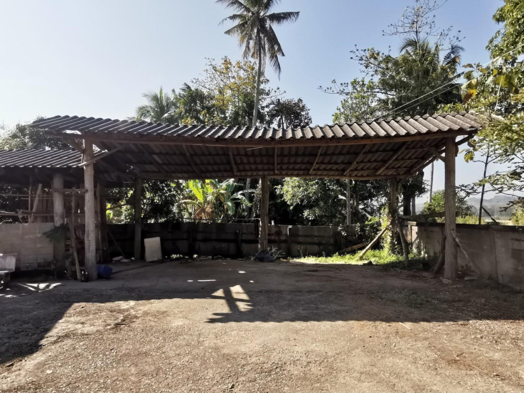 บ้านเดี่ยว ลำปาง งาว บ้านร้อง 985000