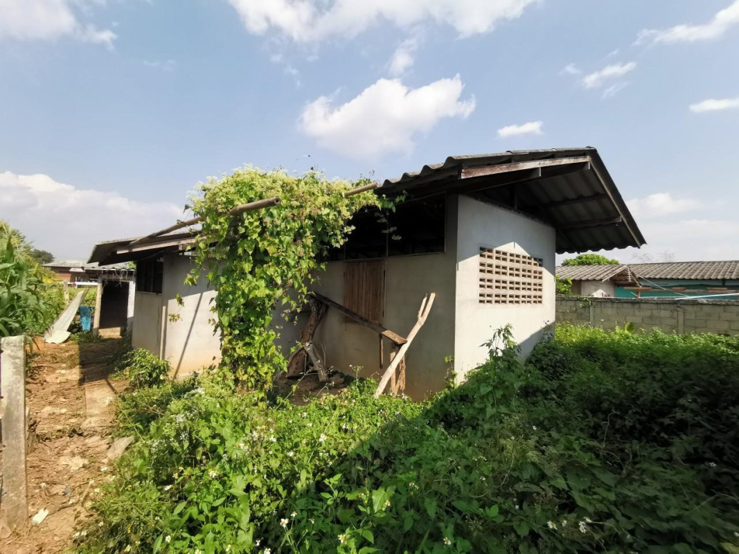 บ้านเดี่ยว เชียงใหม่ ฝาง แม่สูน 1265000