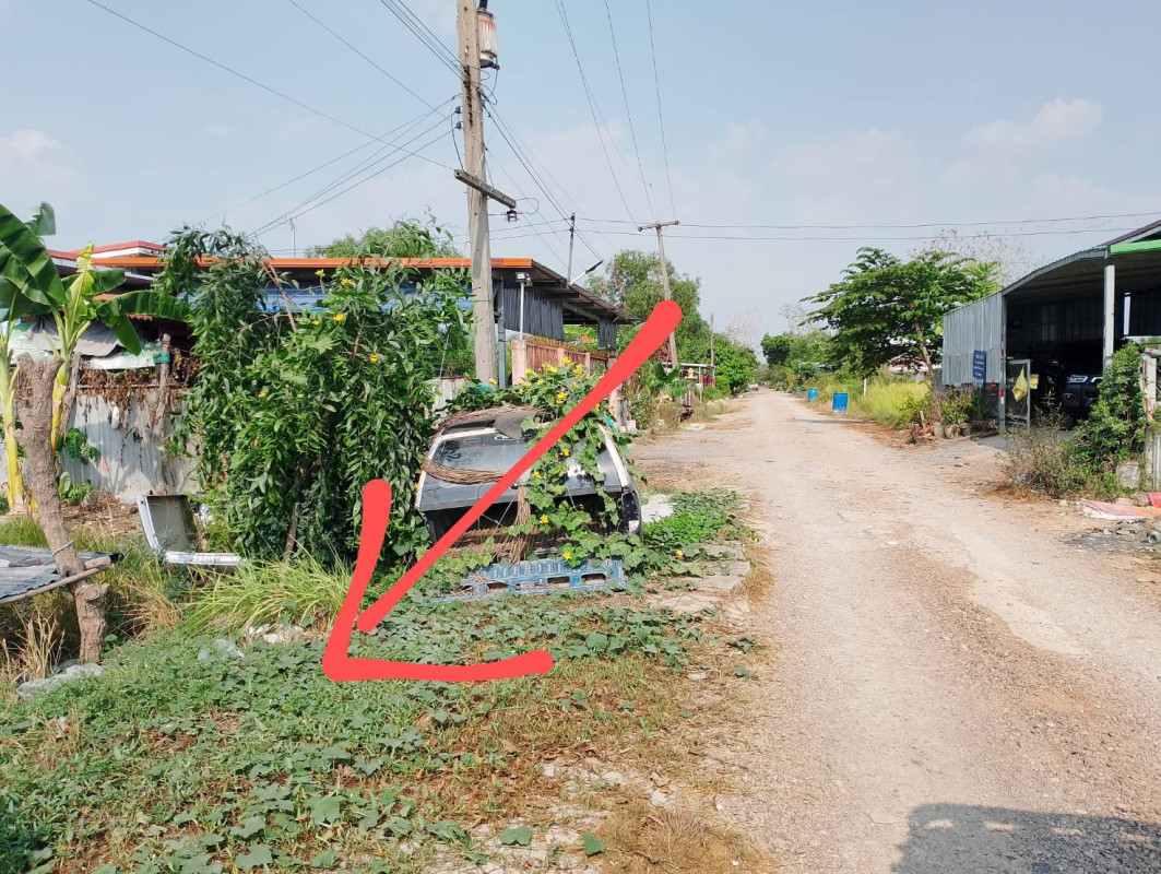 ที่ดินเปล่า ปทุมธานี ลำลูกกา บึงคอไห 1184000
