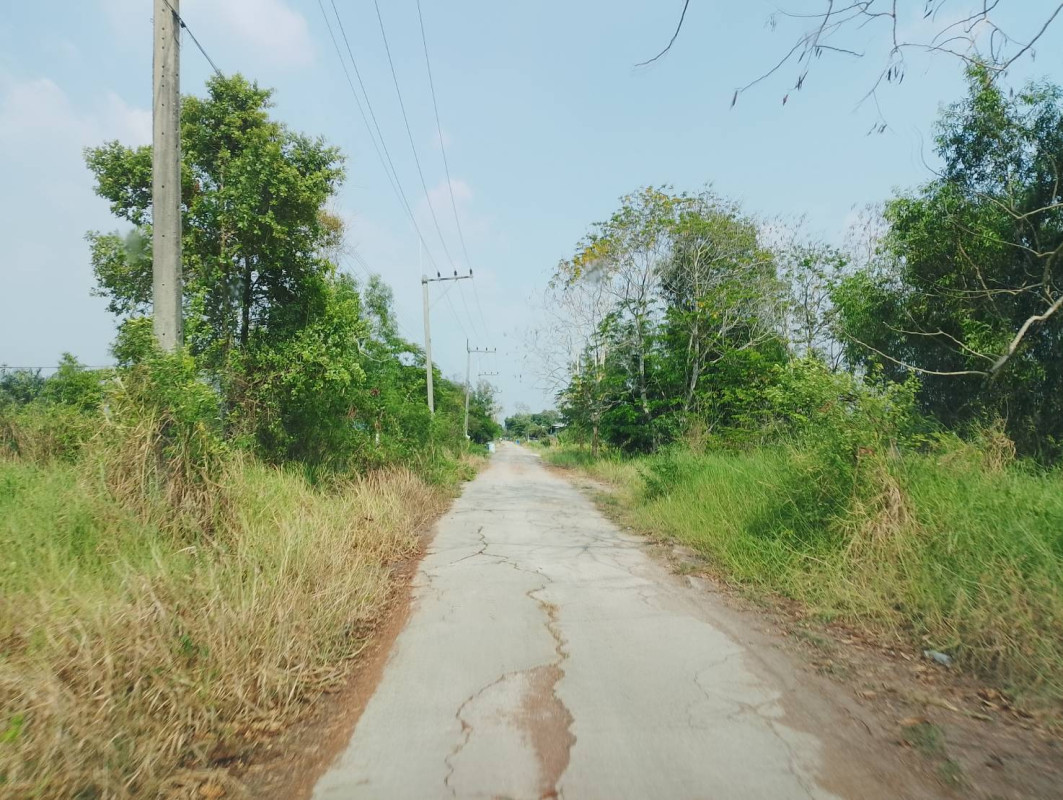 ที่ดินเปล่า ปทุมธานี ลำลูกกา บึงคอไห 1184000