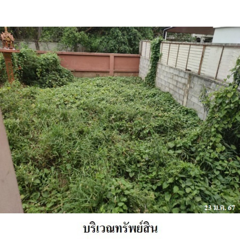 บ้านเดี่ยว พรเจริญ นนทบุรี บางใหญ่ เสาธงหิน 6164200