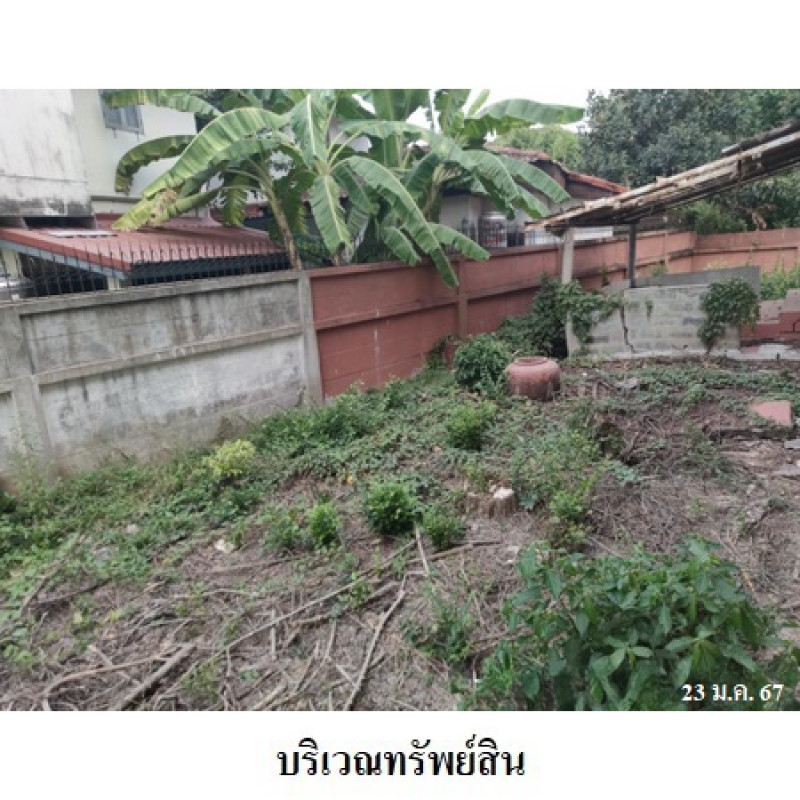 บ้านเดี่ยว พรเจริญ นนทบุรี บางใหญ่ เสาธงหิน 6164200