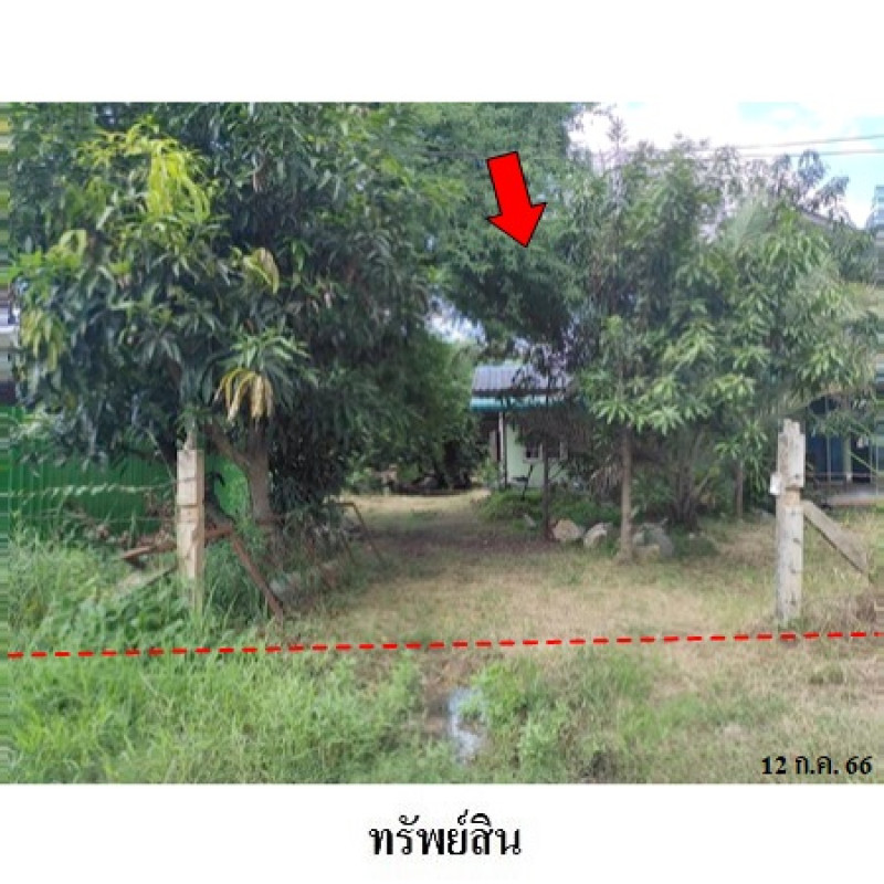 บ้านเดี่ยว ขอนแก่น ชุมแพ ชุมแพ 3260000