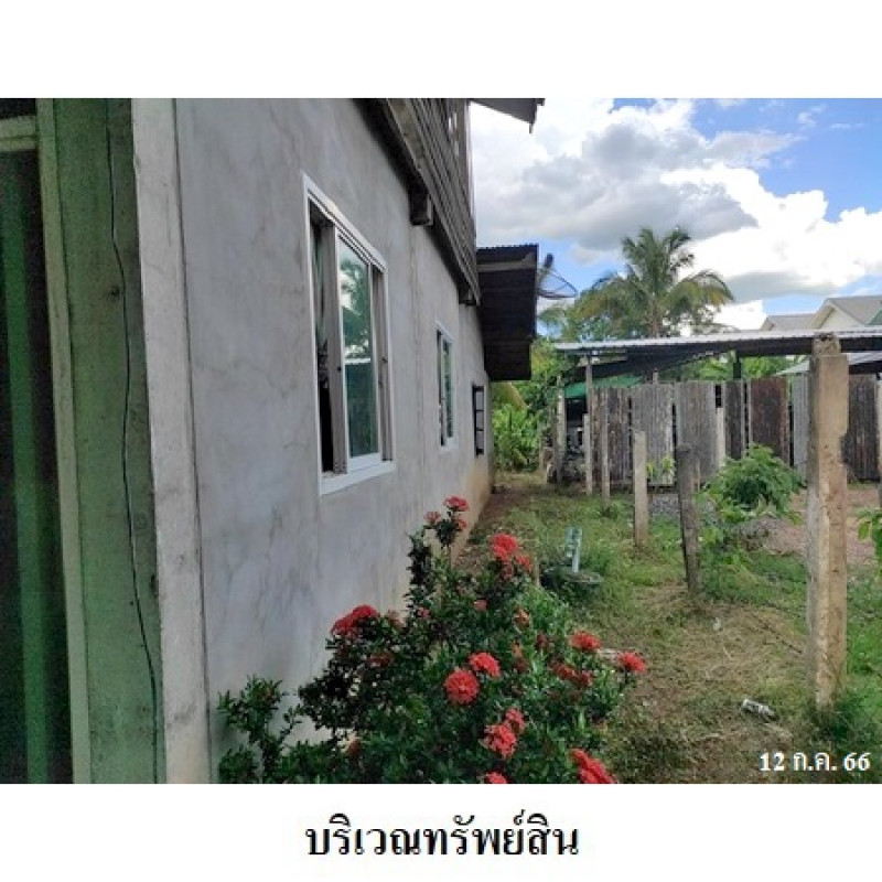 บ้านเดี่ยว ขอนแก่น ชุมแพ ชุมแพ 3260000