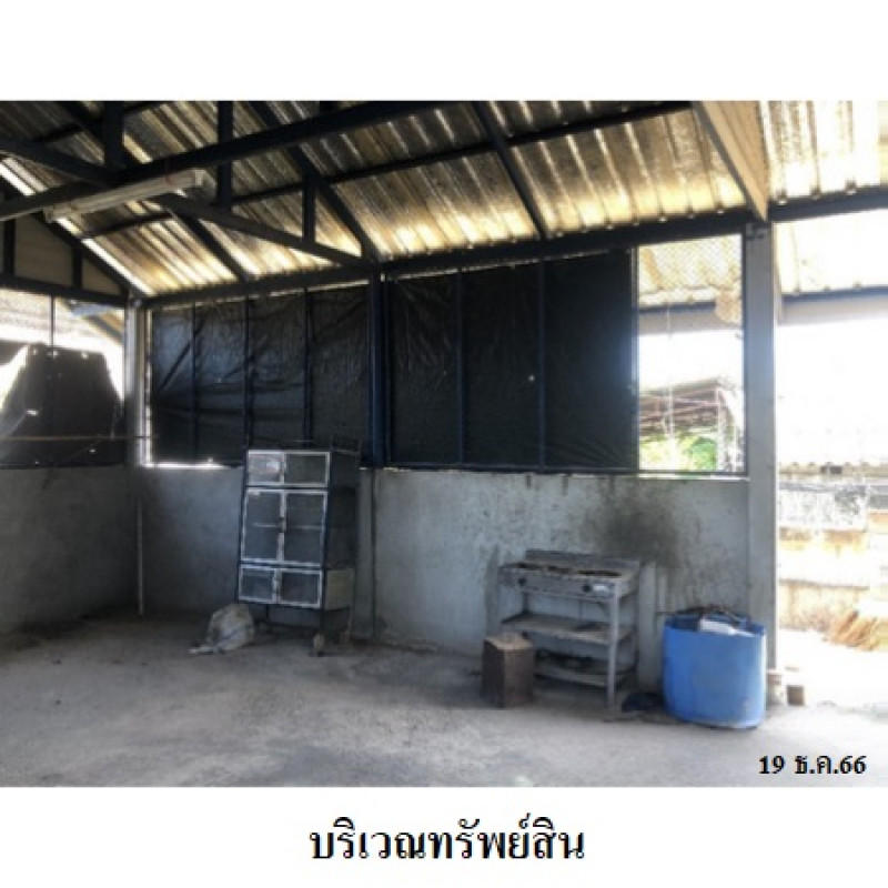บ้านเดี่ยว อุบลราชธานี สว่างวีระวงศ์ สว่าง 1560000