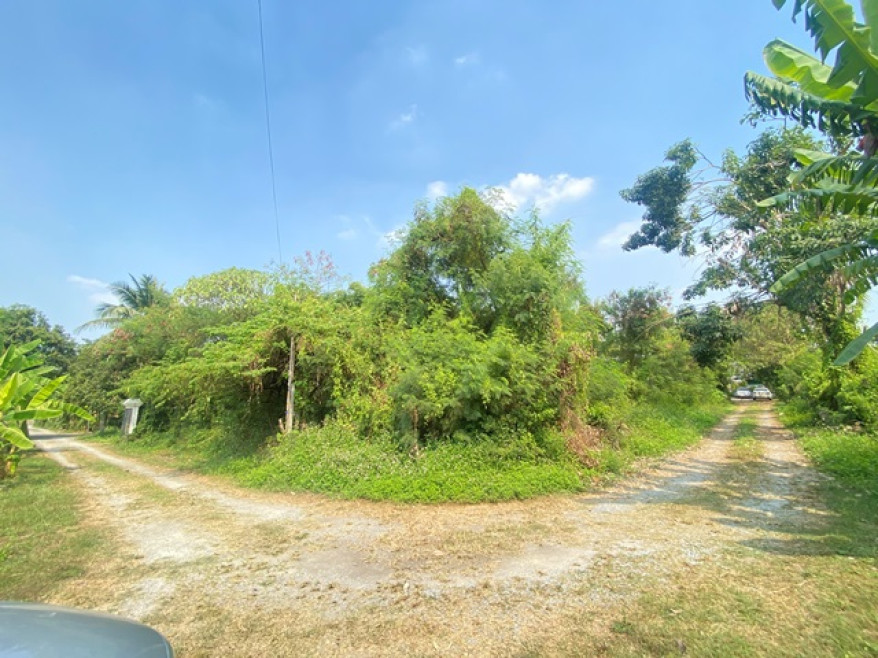 Residential land/lot Bangkok Bangkok Noi Bang Khun Si 8469000