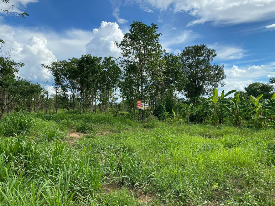 Residential land/lot Lamphun Mueang Lamphun Pa Sak 1596000