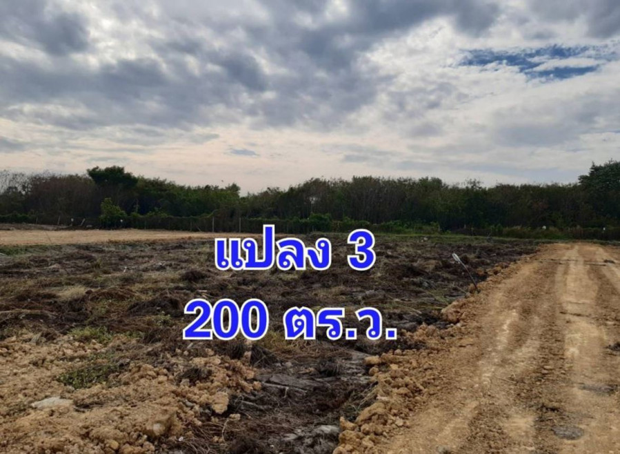 Residential land/lot Nakhon Pathom Mueang Nakhon Pathom Huai Chorakhe 2300000