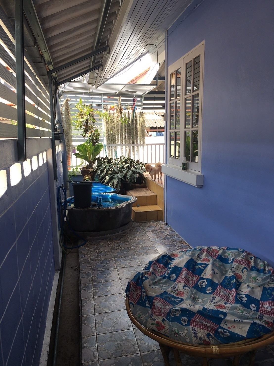 Single house Rayong Ban Chang Ban Chang 2500000