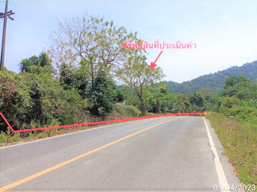 Residential land/lot Nakhon Si Thammarat Sichon Thung Sai 97261000