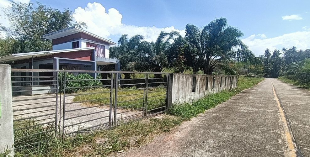 Single house Surat Thani Kanchanadit Kadae 3000000