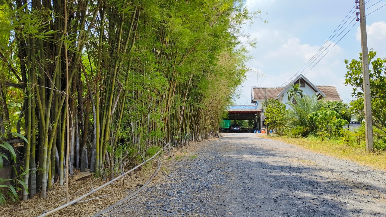 ที่ดินเปล่า สระบุรี วิหารแดง หนองหมู 16500000
