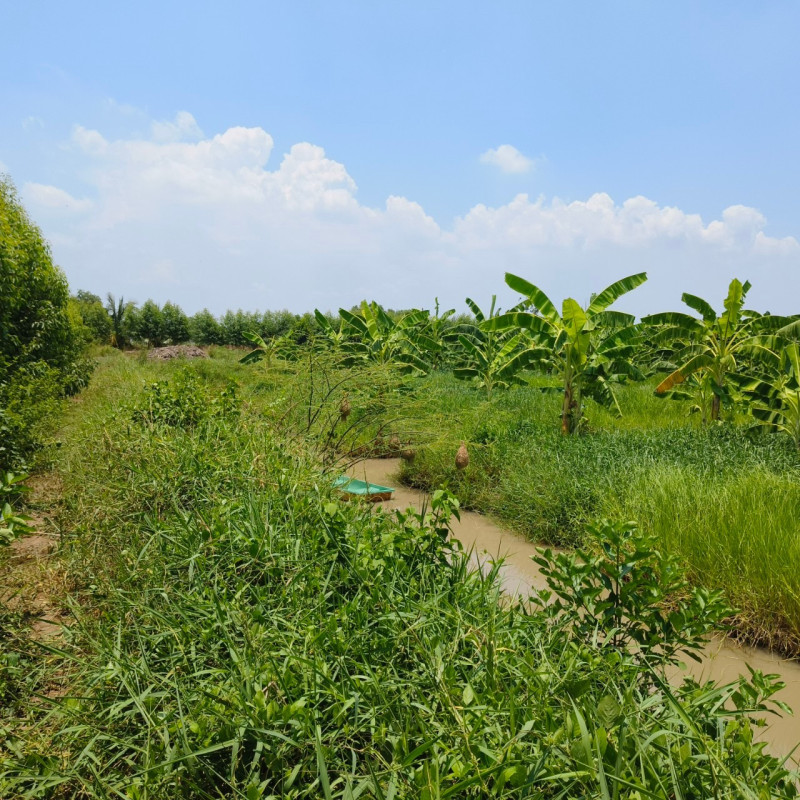 ที่ดินเปล่า สระบุรี วิหารแดง หนองหมู 16500000