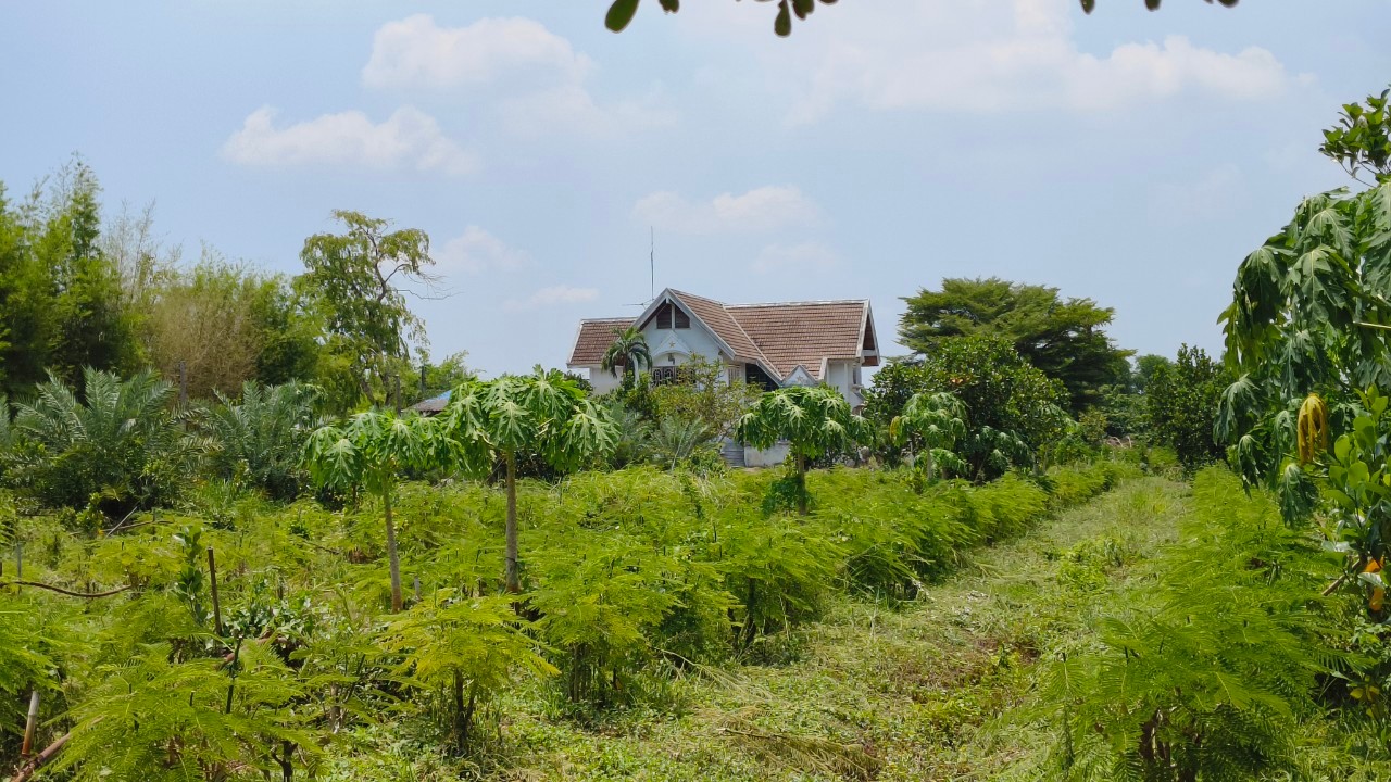ที่ดินเปล่า สระบุรี วิหารแดง หนองหมู 16500000