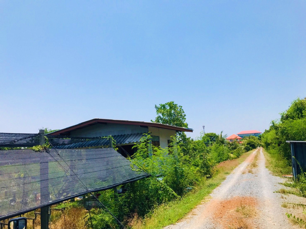 ที่ดินเปล่า นนทบุรี บางใหญ่ บางใหญ่ 55845000