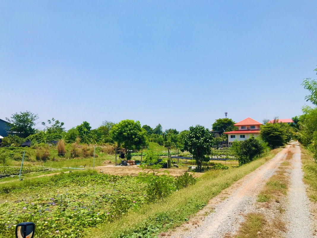ที่ดินเปล่า นนทบุรี บางใหญ่ บางใหญ่ 55845000