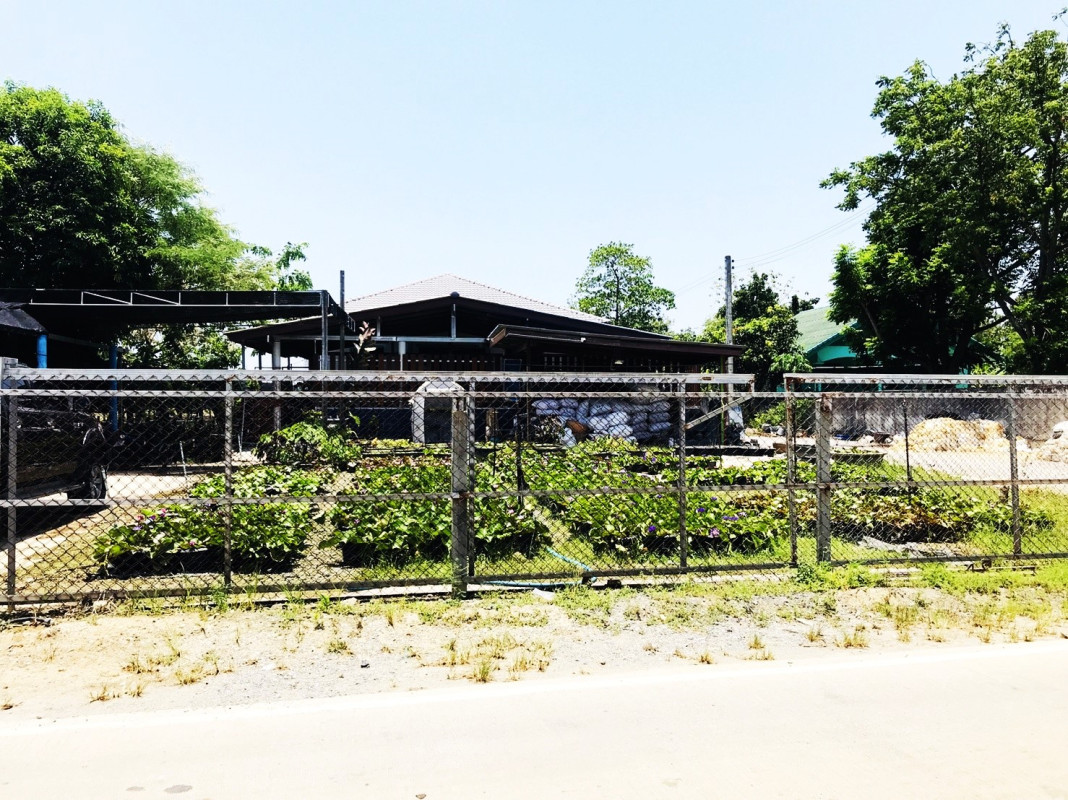 ที่ดินเปล่า นนทบุรี บางใหญ่ บางใหญ่ 55845000