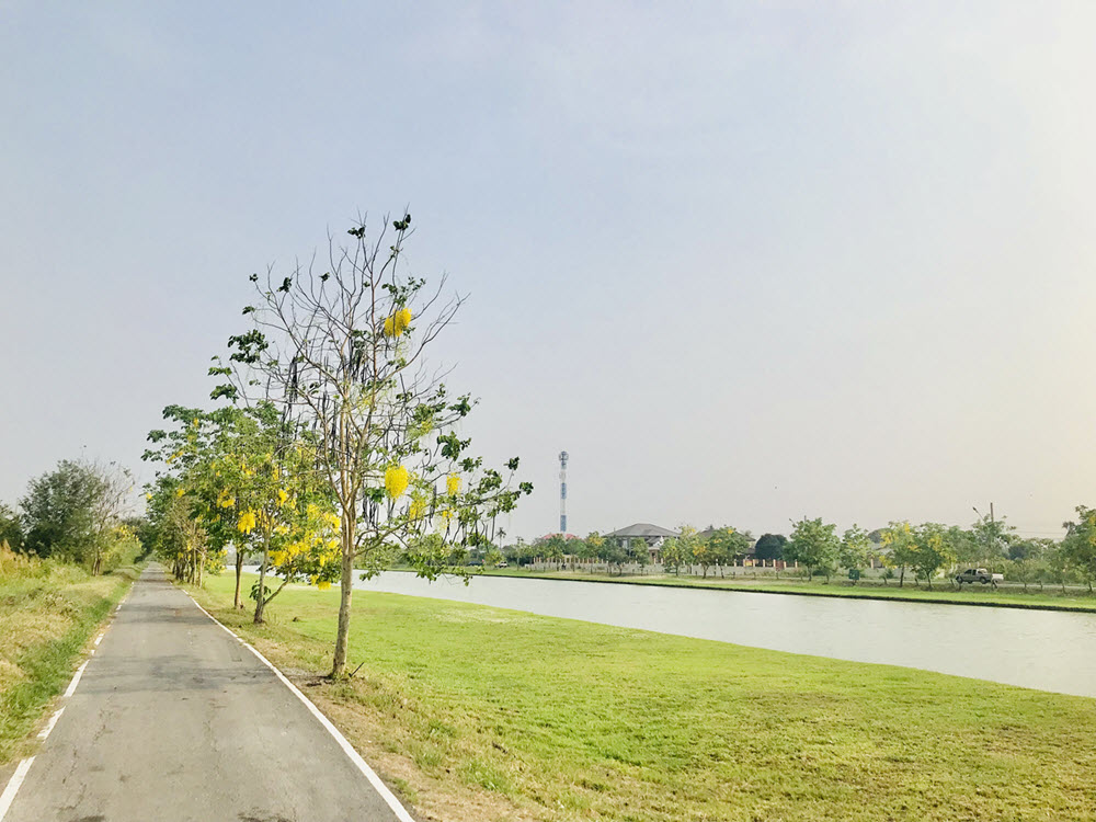 ที่ดินเปล่า นนทบุรี บางใหญ่ บางใหญ่ 55845000
