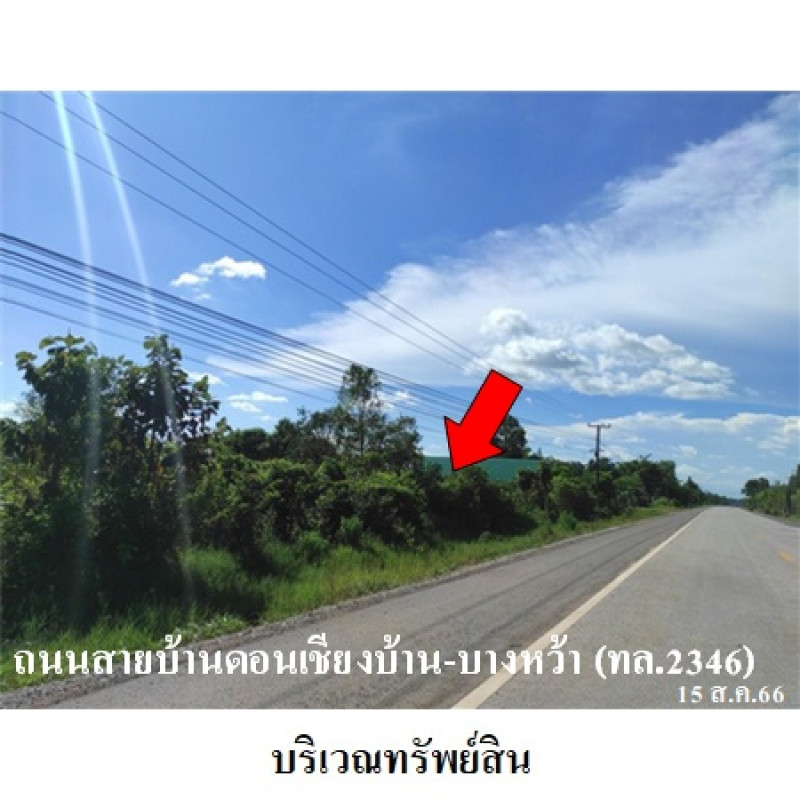 ที่ดินเปล่า นครพนม นาหว้า นางัว 2010000